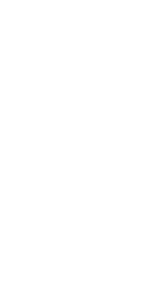 Gato Pardo Emblem